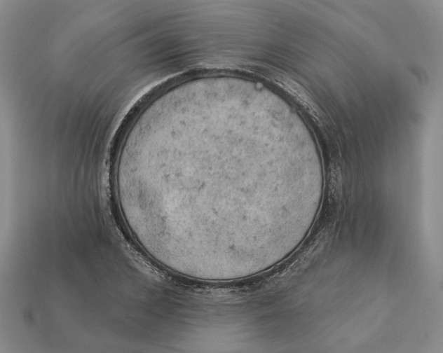 X0000112780976200909101609