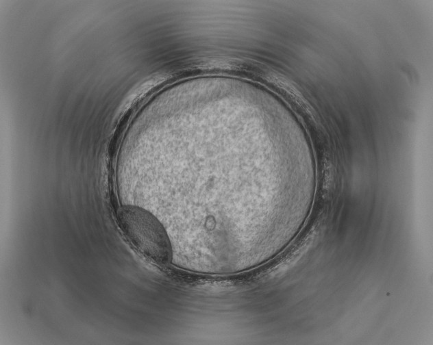 X0000112780978200909101609