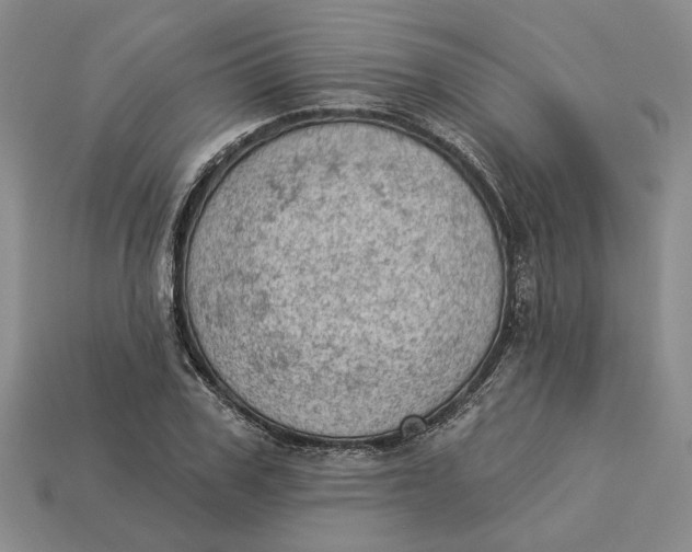 X0000112780979200909101609