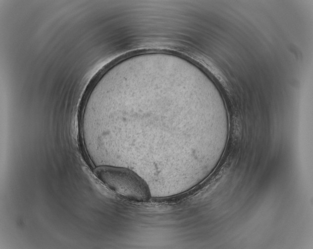 X0000112780980200909101609