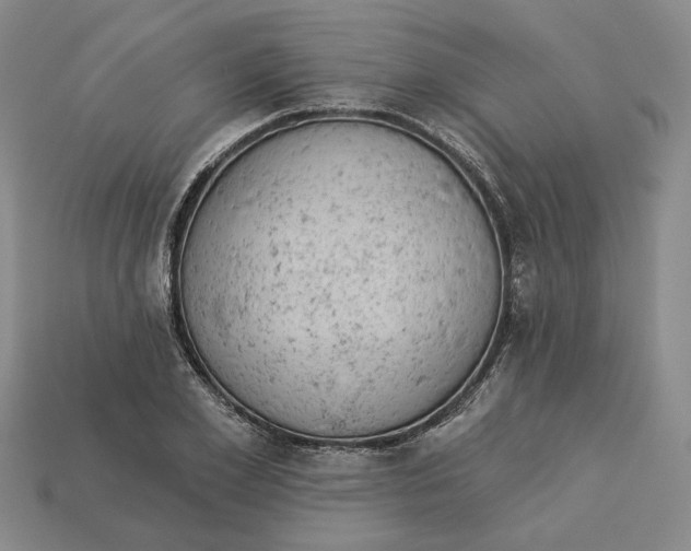 X0000112780981200909101609