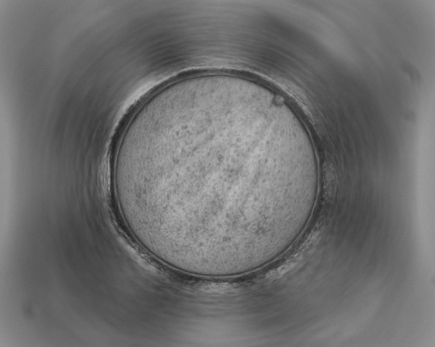 X0000112780982200909101609