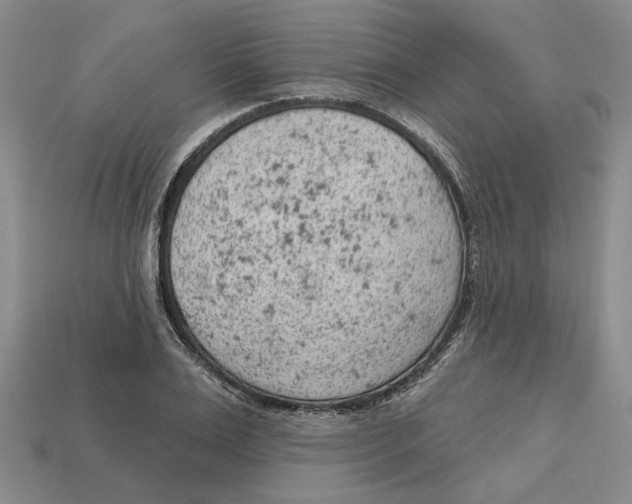 X0000112780983200909101609