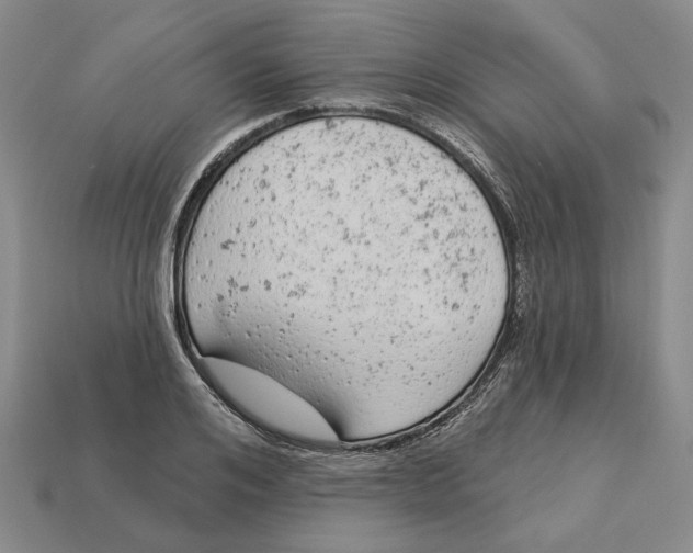 X0000112780984200909101609