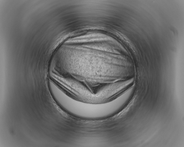 X0000112780985200909101609