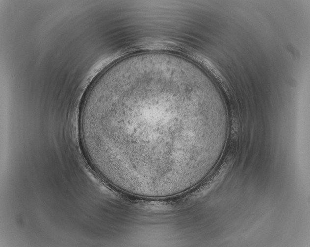 X0000112780986200909101609