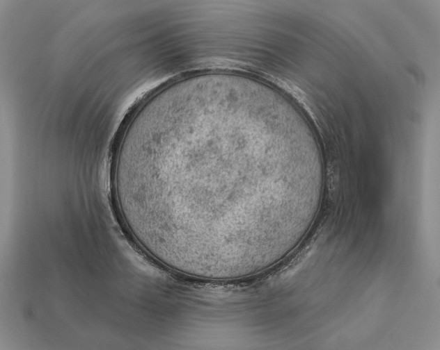 X0000112780987200909101609