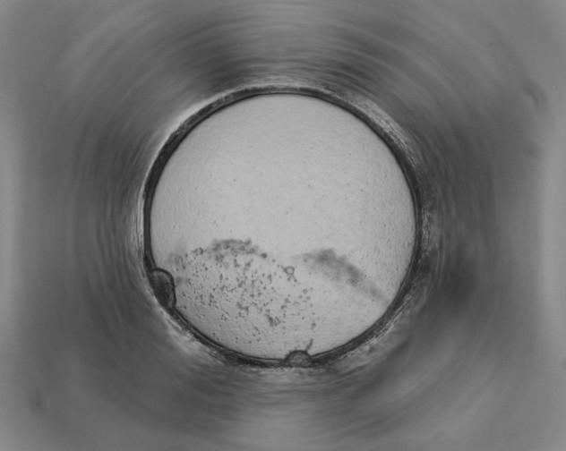 X0000112780988200909101609