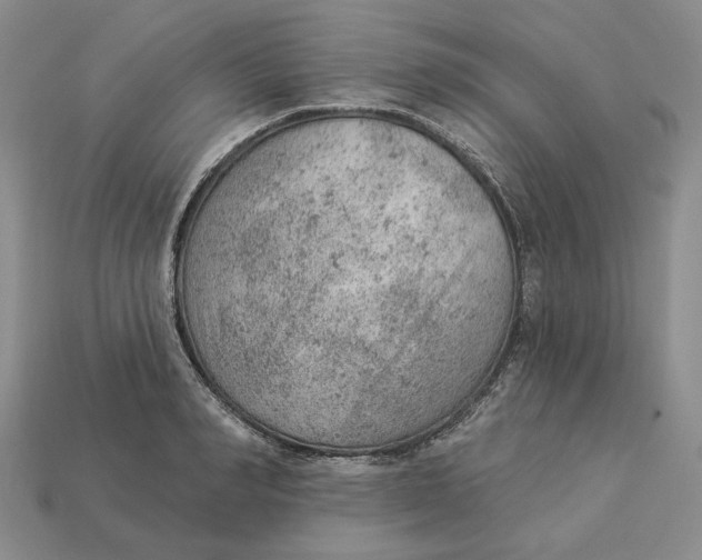 X0000112780990200909101608