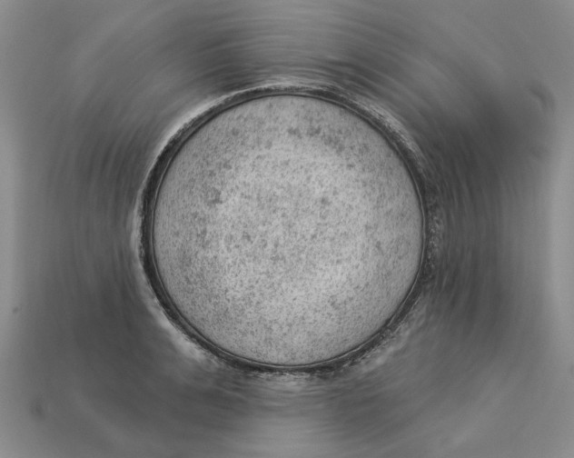 X0000112780991200909101608