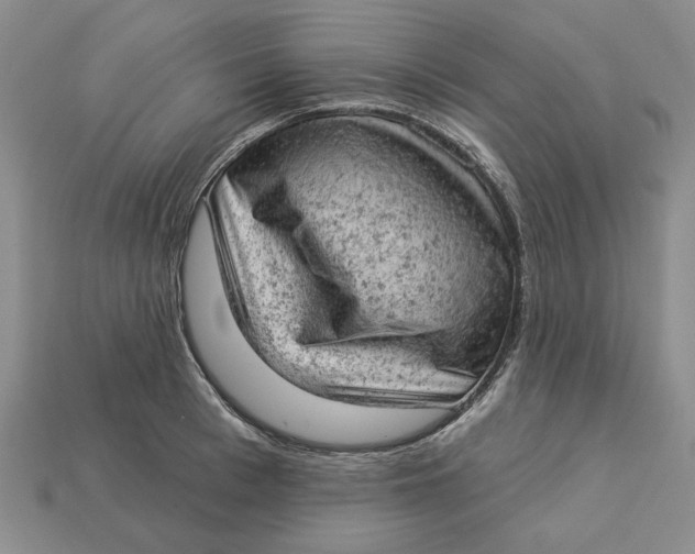 X0000112780993200909101608