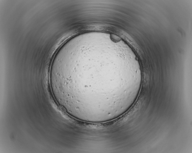 X0000112780994200909101608