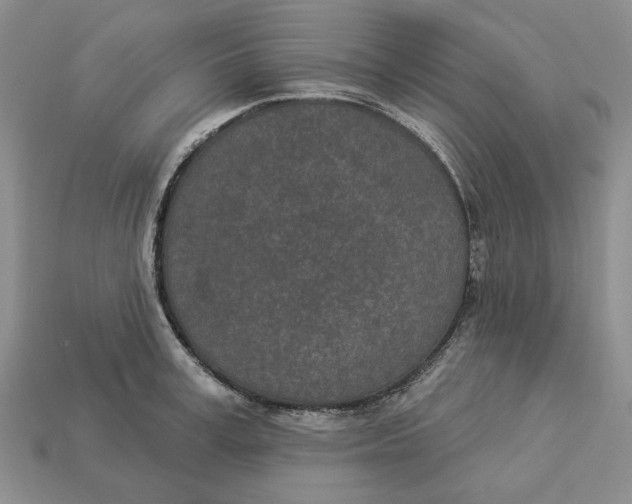 X0000112780995200909101608