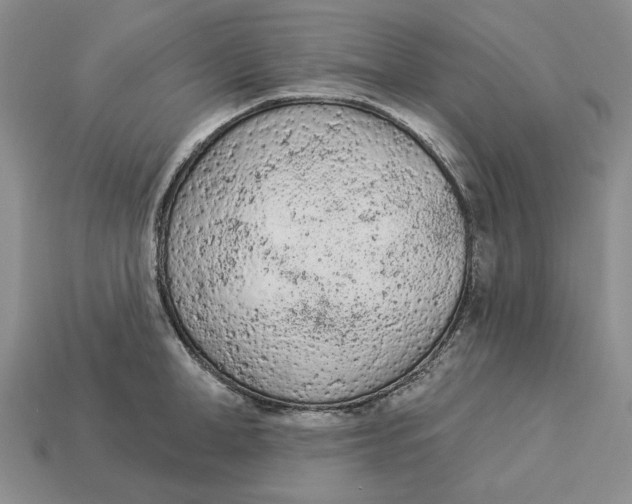 X0000112780998200909101608