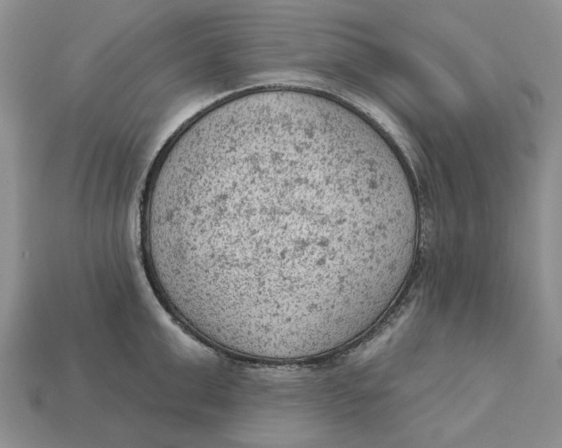 X0000112780999200909101608