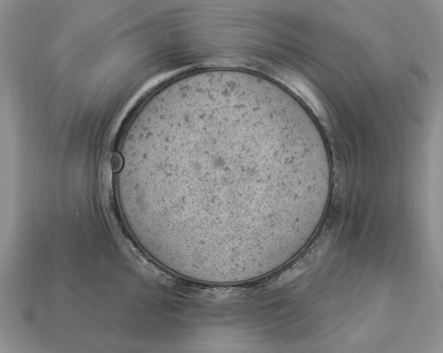 X0000112781000200909101608