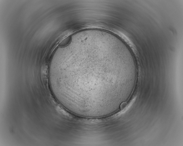 X0000112781001200909101608