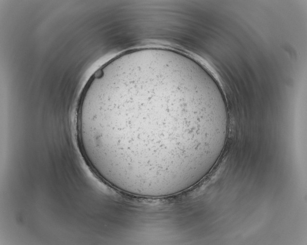 X0000112781003200909101608