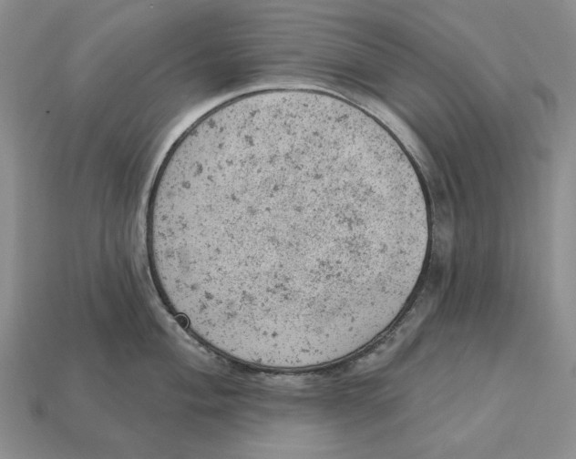 X0000112781004200909101608