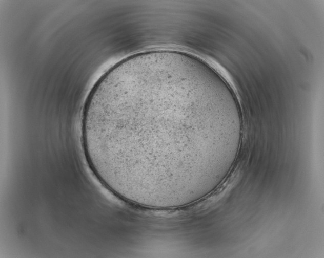 X0000112781005200909101608