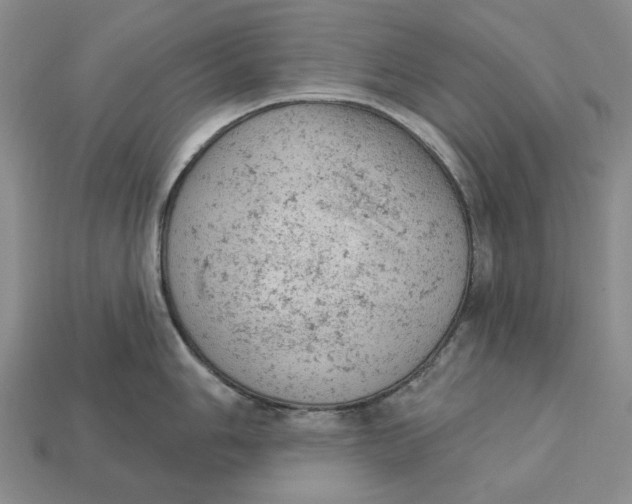 X0000112781006200909101608