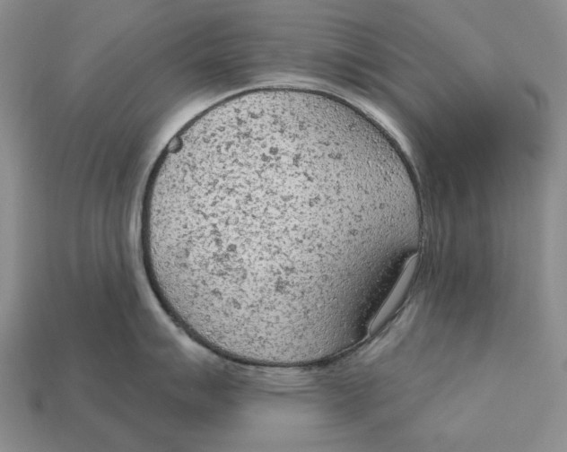 X0000112781007200909101608