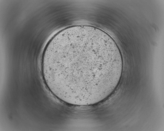 X0000112781008200909101608