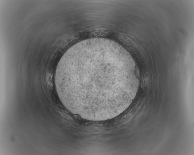 X0000112781010200909101608