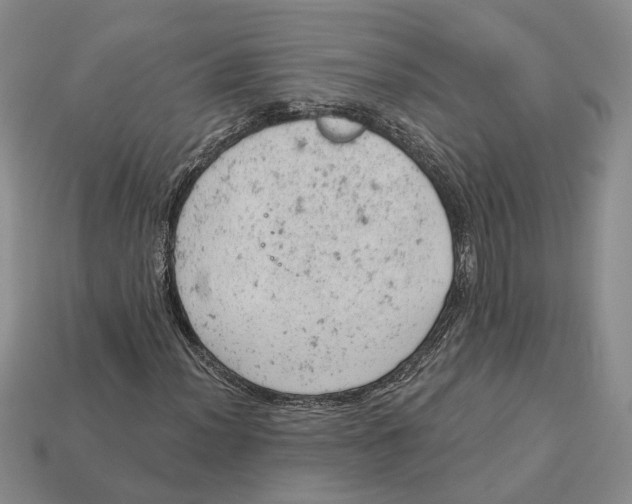 X0000112781012200909101608