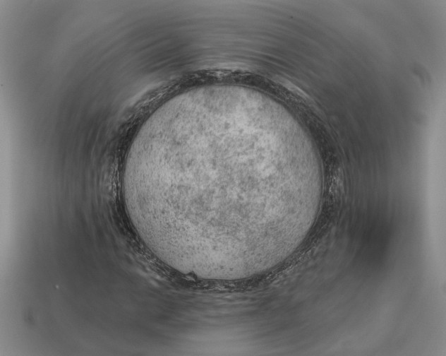 X0000112781014200909101608