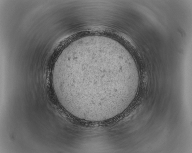 X0000112781016200909101608