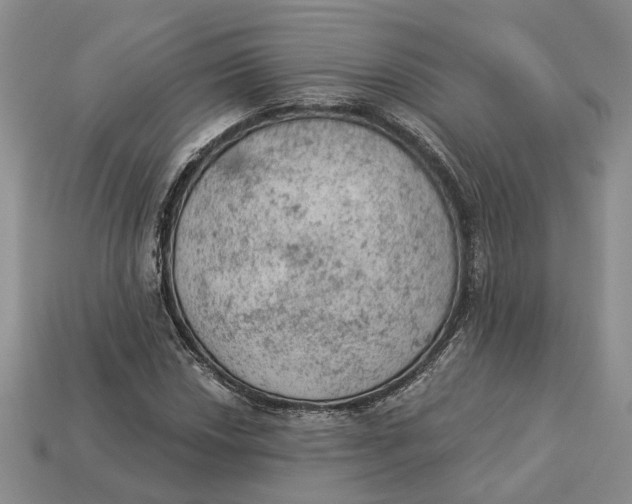 X0000112781018200909101608