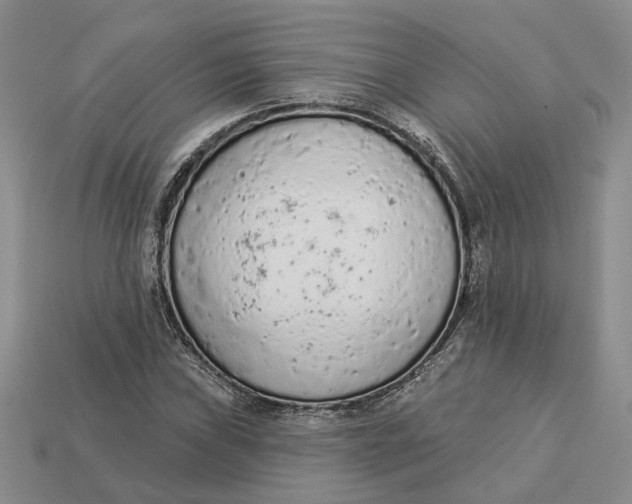 X0000112781019200909101608