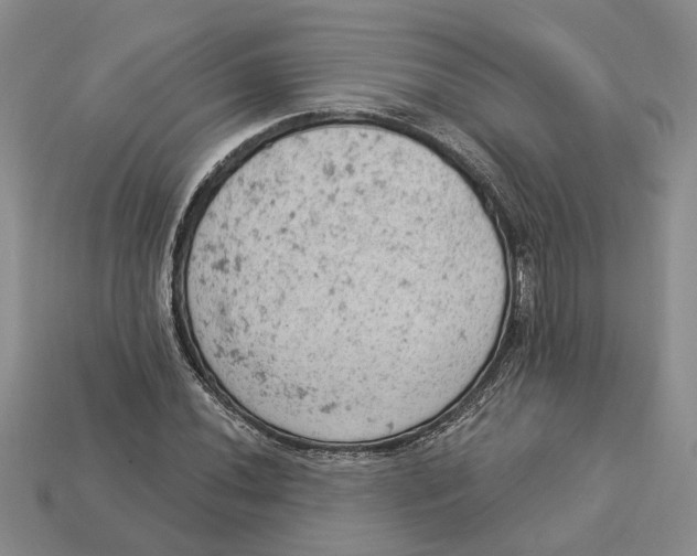 X0000112781020200909101608