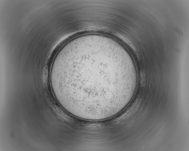 X0000112781021200909101608