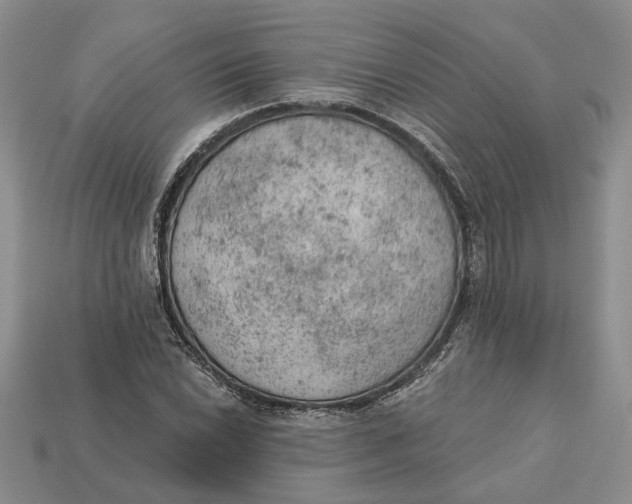 X0000112781022200909101608