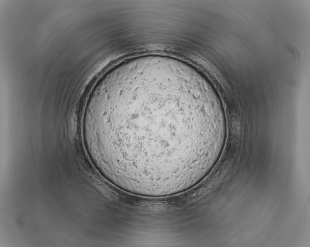 X0000112781023200909101608