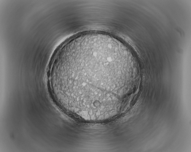 X0000112781024200909101608