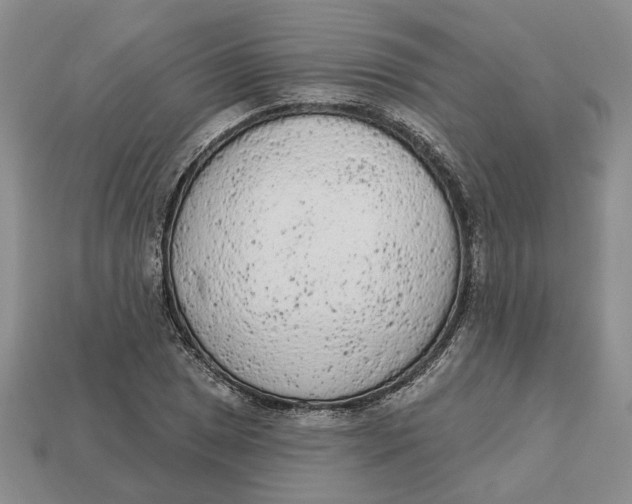 X0000112781025200909101608