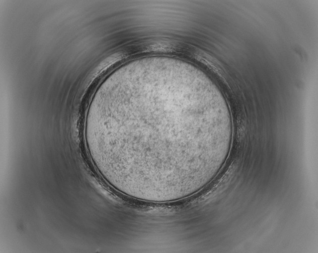 X0000112781026200909101608