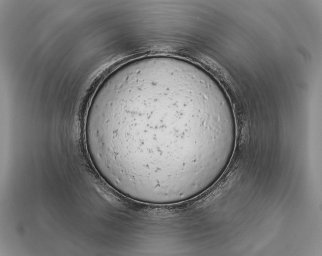 X0000112781027200909101608