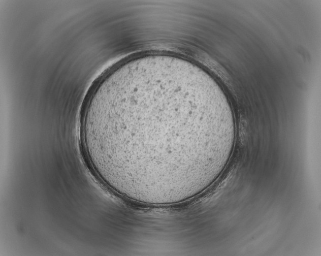 X0000112781028200909101608