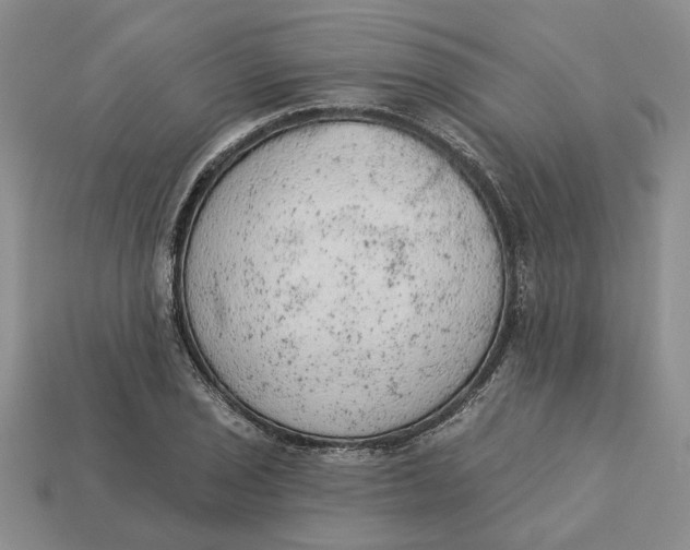 X0000112781029200909101608