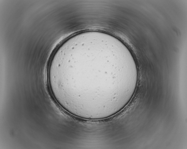 X0000112781032200909101608