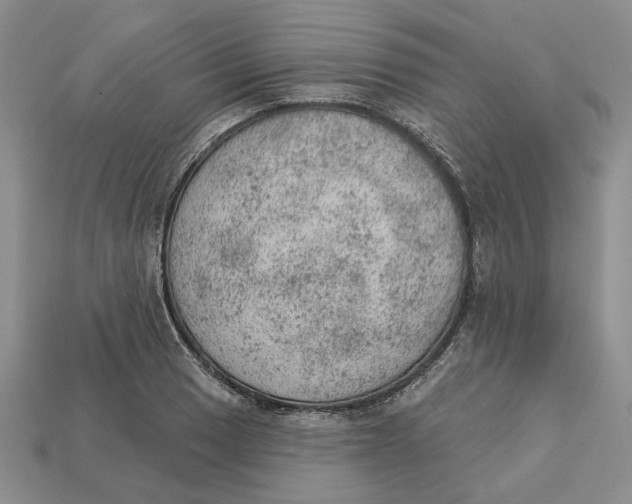 X0000112781033200909101608