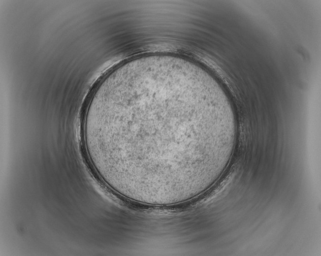 X0000112781034200909101608