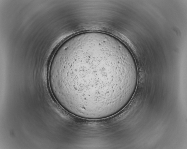 X0000112781035200909101608