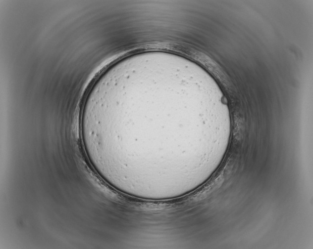 X0000112781036200909101608