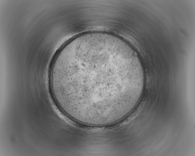 X0000112781038200909101608