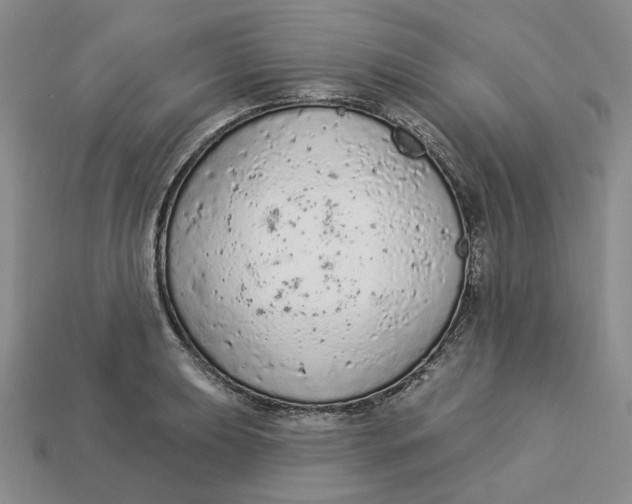 X0000112781039200909101608